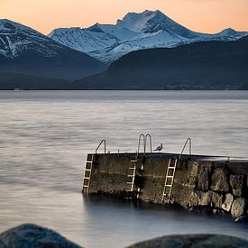 Winter landschap met pier en meeuw op Godøy, Ålesund, Noorwegen van qtx