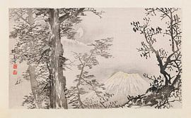 Takeuchi Seihō - Seihō jūni Fuji, Pl.04 (1894) by Peter Balan