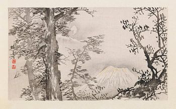 Takeuchi Seihō - Seihō jūni Fuji, Pl.04 (1894)