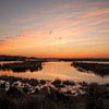Sonnenuntergang am Zuidlaardermeer mit einem Schwarm Gänse von Kok and Kok