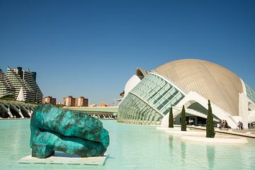 Valencia, City of Arts & Sciences van Jan Fritz