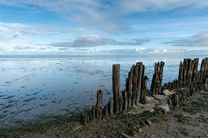 Das Wattenmeer bei Moddergat.