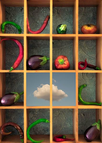 Ratatouille van Christian MARCEL