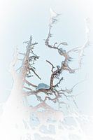 Atmosphere image Lapland 01