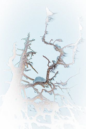 Stimmungsbild Lappland 01