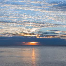 Let light in van Nina Rotim