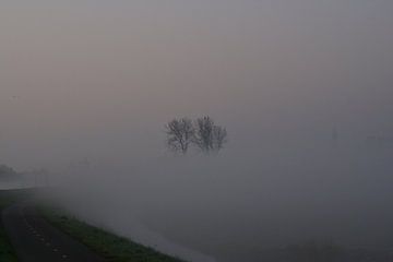 Mist.