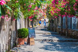 Allée des fleurs sur Tim van Breukelen