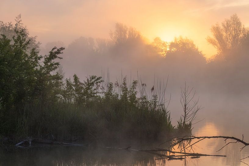 Sunrise at the lake in Germany by Daniela Beyer