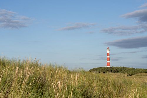 Der Leuchtturm von Ameland