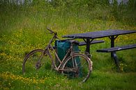 Verroeste fiets van FotoGraaG Hanneke thumbnail
