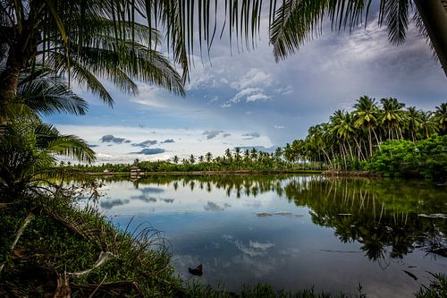 Palmen paradijs op aarde, paradise of palmtrees on earth