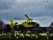 Traumahelikopter stijgt op na melding van Remco Gerritsen thumbnail