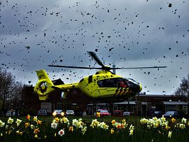 Trauma-Hubschrauber hebt nach Meldung ab