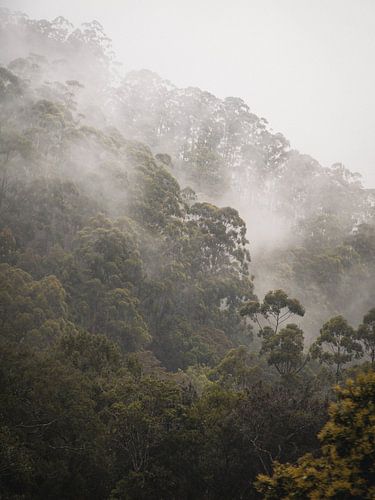 Schichten der Stille