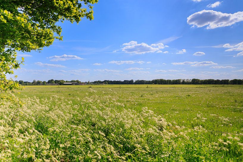 La lumière sur les plaines par Impression d'artiste de la nature