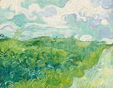 Grüne Weizenfelder bei Auvers, Vincent van Gogh von Rebel Ontwerp Miniaturansicht