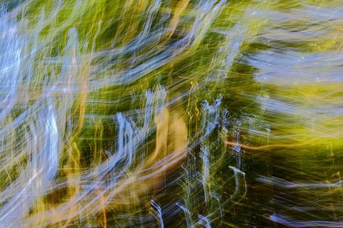 Daglicht Camera Toss 1