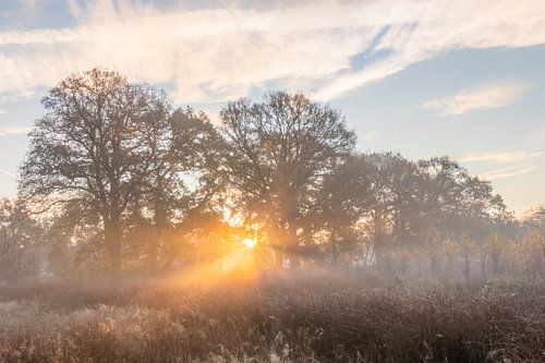 Sunrise in Westerwolde