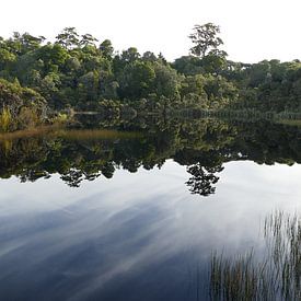 Lake Wilkie van Mark Sebregts