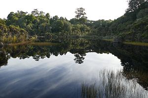 Lake Wilkie