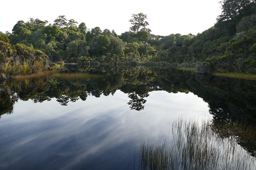 Lake Wilkie by Mark Sebregts