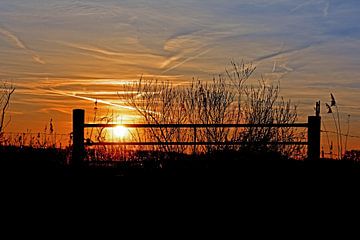 sunset sur Ronald en Ancil Fotografie