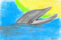 Happy Dolphin