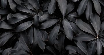 Schwarze Blätter von Mustafa Kurnaz