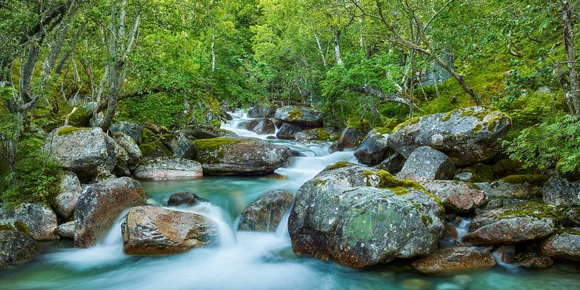Wilde Rivier I van Rainer Mirau