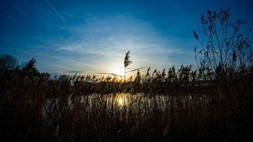 Een strohalm tijdens zonsondergang van Karin van Alphen