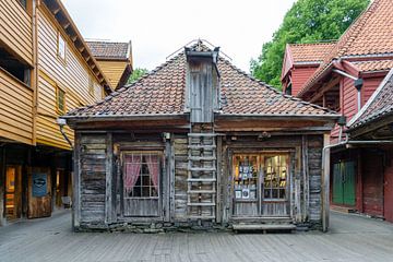 Oud huis in Bergen von Niels de Wit