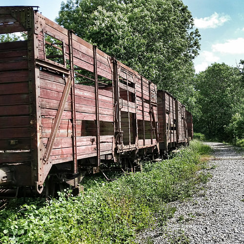 Treinwagon