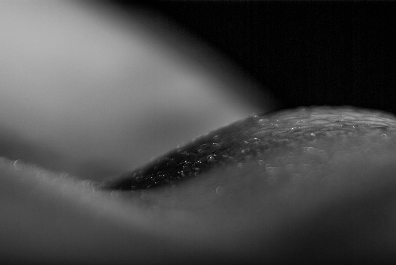 Mound of Venus / Pubic bone by Norbert Sülzner