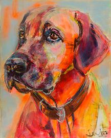 Rhodesian Ridgeback Portrait by Paintings Liesbeth Serlie