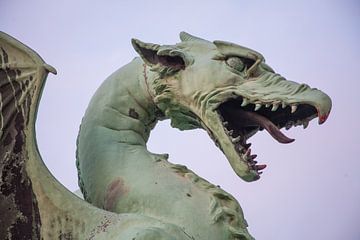 La tête du dragon sur le pont du dragon dans le centre de la Lubliana, Slovénie sur Joost Adriaanse