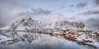 Belle Reine - Le plus beau village de pecheurs des Lofoten par Rolf Schnepp Aperçu