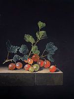 Stachelbeeren - Coorte I revisited 2025