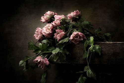 Flowering and fragility