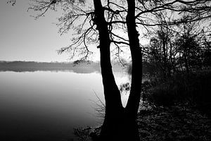 Paysage lacustre
