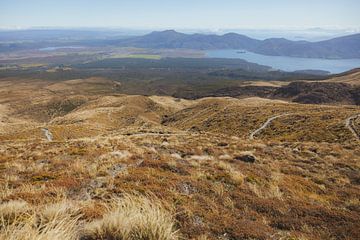 Tongariro Crossing: Marslandschap op Aarde van Ken Tempelers