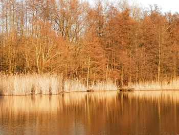 Meer in een natuurgebied