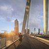 Erasmus Bridge Rotterdam during the golden hour by Elroy Spelbos