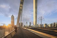 Erasmus Bridge Rotterdam during the golden hour by Elroy Spelbos Fotografie thumbnail