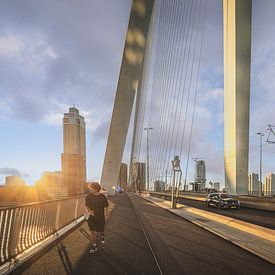 Le pont Érasme de Rotterdam à l'heure dorée sur Elroy Spelbos Fotografie