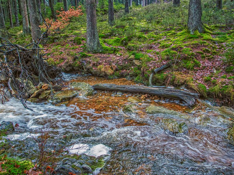 A Picture With Reality. Tree Fallen in Flowing Water by Nature Life Ambience