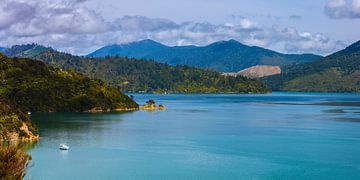 Marlborough Sounds, Te Mahia, South Island, Nouvelle-Zélande sur Henk Meijer Photography