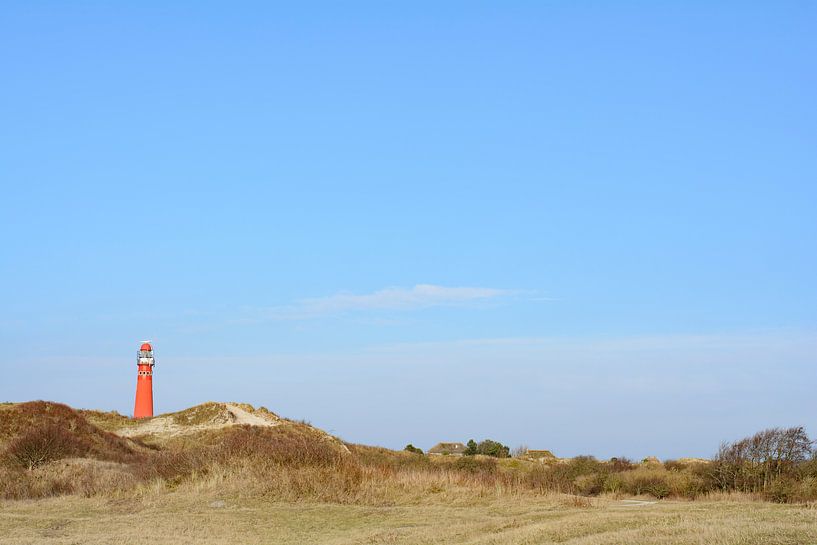 Leuchtturm in den Dünen auf der Insel Schiermonnikoog von Sjoerd van der Wal Fotografie