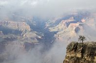 Grand Canyon, South Rim, Arizona, Amerika by Henk Alblas thumbnail