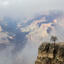 Grand Canyon, South Rim, Arizona, Amerika von Henk Alblas